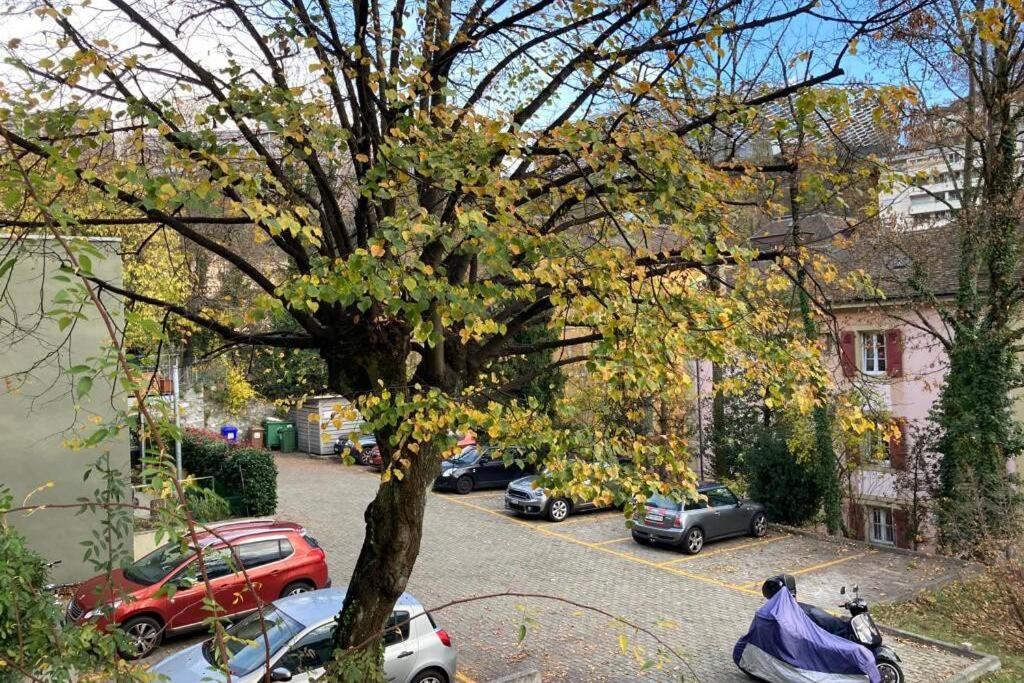 Parking & Appartement 2 Pieces Sans Traffic Lausanne Ngoại thất bức ảnh